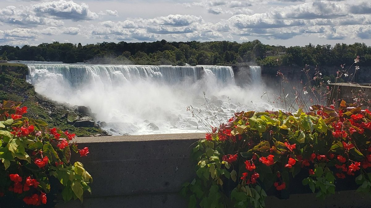 The American Falls in full flow seen across the Niagara Parks flower beds on the Canadian promenade