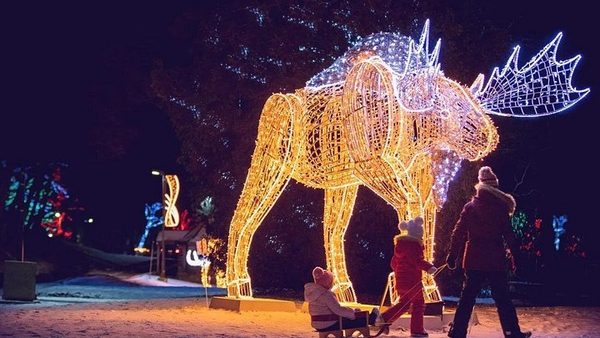 Visitors beside a giant illuminated moose sculpture in the snow at the Winter Festival of Lights