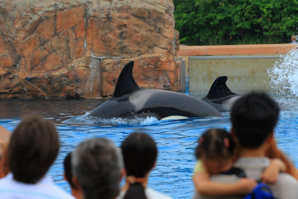 MarineLand - Visiting Niagara Falls